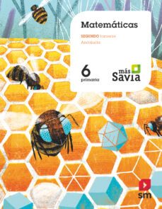 Matemáticas 6º Educacion Primaria Mas Savia Ed 2019 Andalucia