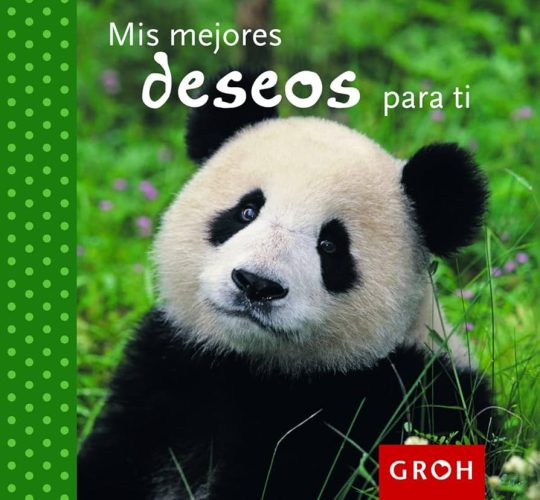 Mis Mejores Deseos Para Ti